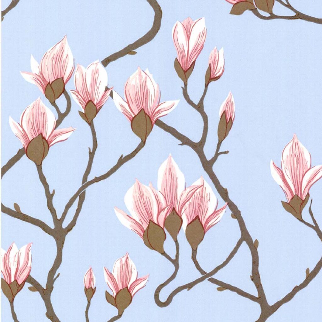 Behang met lichtroze magnoliabloemen en bruine takken op een lichtblauwe achtergrond uit de Cole and Son Magnolia 72/3011 collectie.