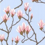 Behang met lichtroze magnoliabloemen en bruine takken op een lichtblauwe achtergrond uit de Cole and Son Magnolia 72/3011 collectie.