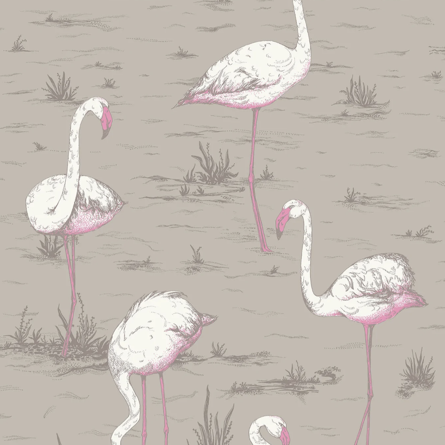 Illustratief behang met roze en witte flamingo’s op een taupekleurige achtergrond, ontwerp van Cole and Son.