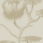 Gedetailleerde tekening van een leliebloem en bladeren in beige tinten op het Cole and Son behang Lily 654019.