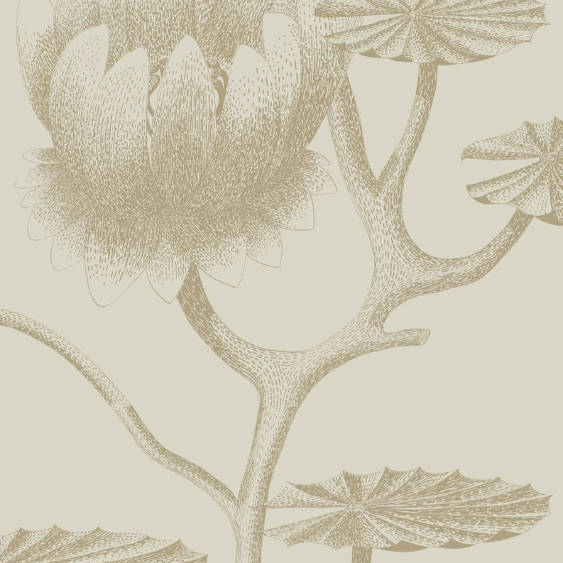 Gedetailleerde tekening van een leliebloem en bladeren in beige tinten op het Cole and Son behang Lily 654019.