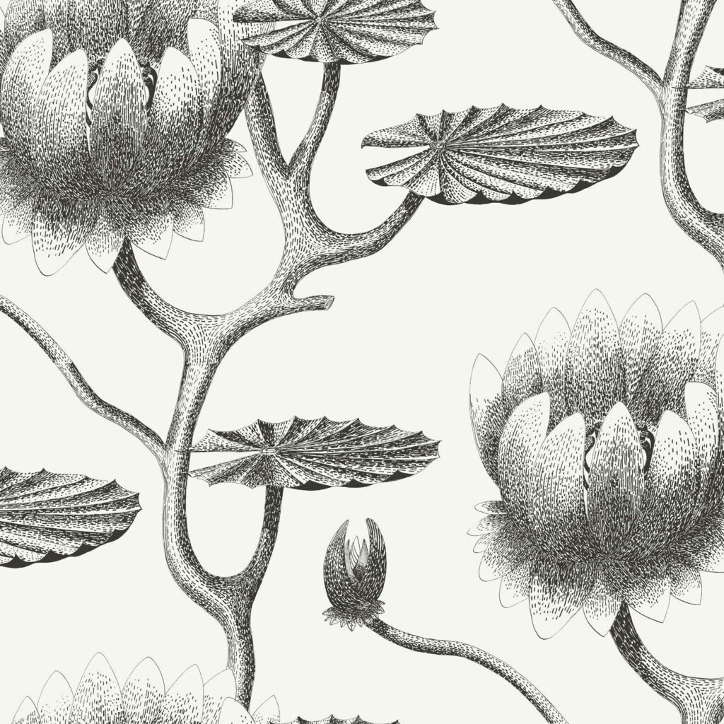 Zwart-wit behangpatroon van Cole and Son met gedetailleerde leliebloemen en bladeren.