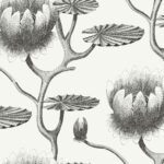 Zwart-wit behangpatroon van Cole and Son met gedetailleerde leliebloemen en bladeren.
