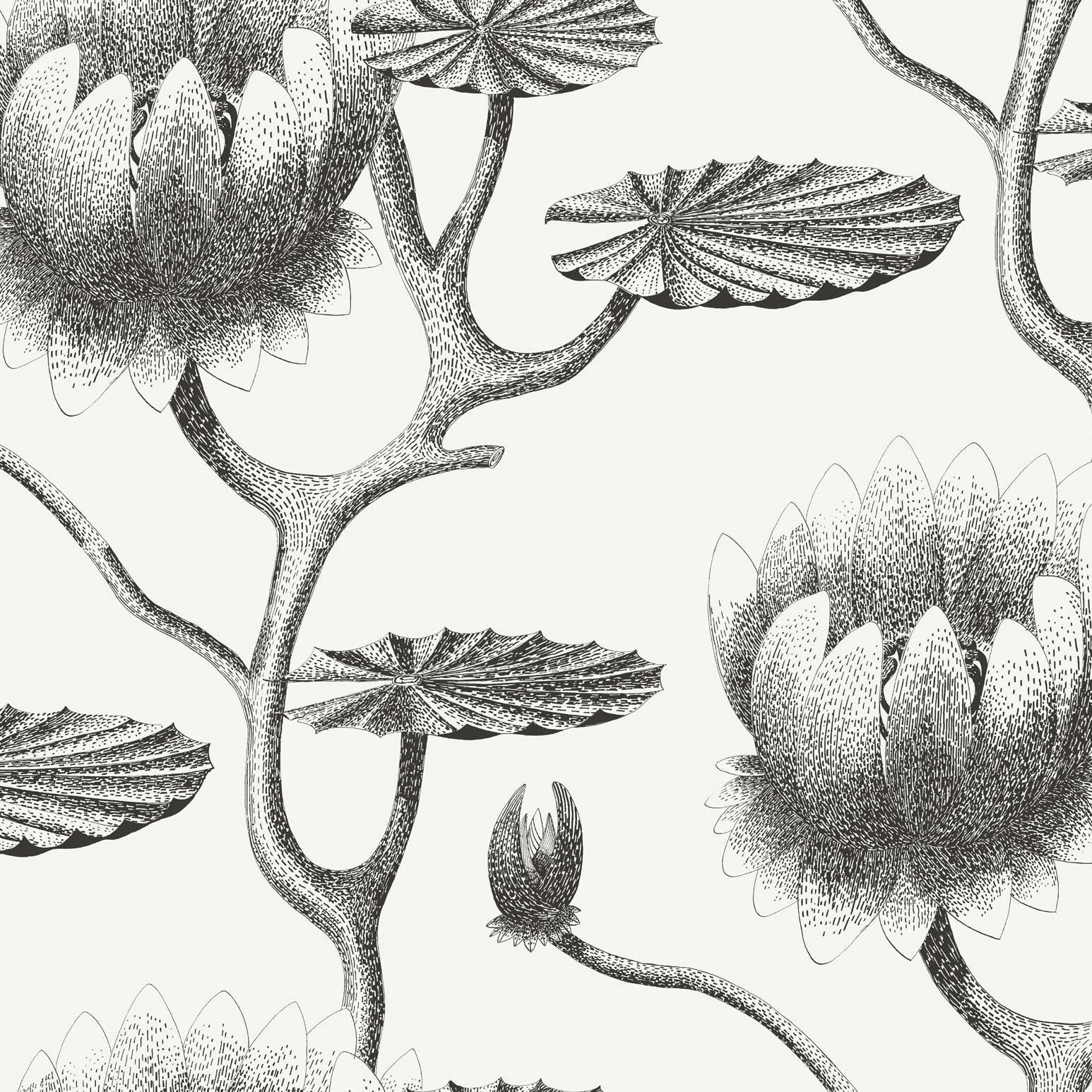 Cole and Son – Lily behang