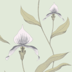 Illustratie van lichtroze orchideeën met grijsgroene bladeren op een zachtgroene achtergrond, uit het Cole and Son Orchid behang.