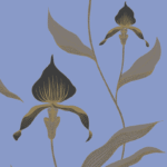 Illustratief behang van Cole and Son met gestileerde orchideeën in zwart en goud op een lichtblauwe achtergrond.