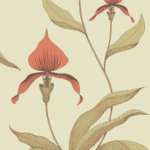Illustratie van een Cole & Son orchid behang met gestileerde roodgroene orchideeën op een lichte achtergrond.