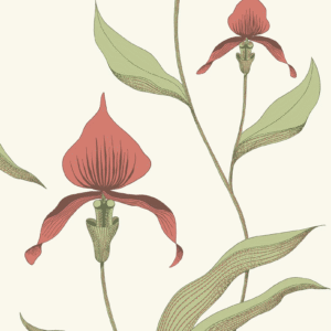 Getekende orchideeën met rood-roze bloemen en groene bladeren op een lichtbeige achtergrond uit het Cole & Son Orchid behang.
