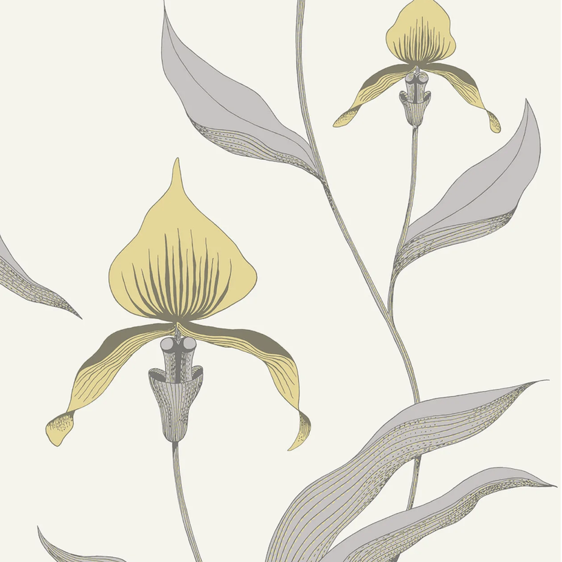 Illustratie van het Cole and Son Orchid behang met gestileerde geel-grijze orchideeën en bladeren op een lichte achtergrond.