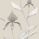 Gedetailleerde tekening van orchideeën op beige Cole and Son behang.