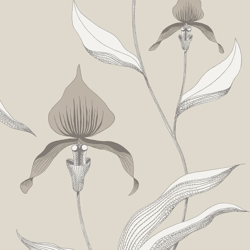 Gedetailleerde tekening van orchideeën op beige Cole and Son behang.
