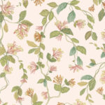 Lichtbeige Cole & Son-behang met een patroon van sierlijke, bloeiende kamperfoelietakken in zachte pastelkleuren.