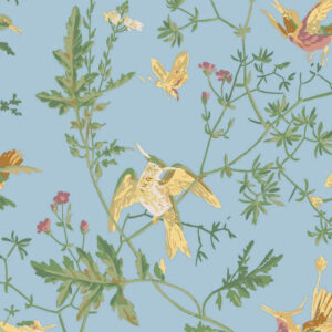 Illustratief behangpatroon van Cole & Son met kolibries, vlinders en sierlijke groene takken op een lichtblauwe achtergrond.