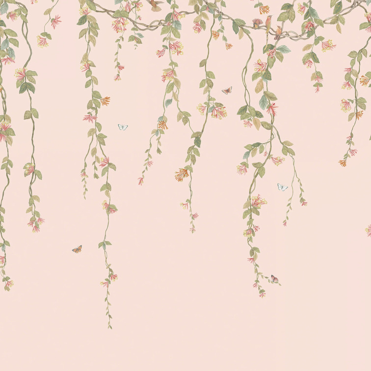 Lichtroze behang met hangende bloemranken, kolibries en vlinders uit het Cole & Son Hummingbirds Flora ontwerp.