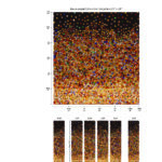 Abstracte wandbekleding "Elitis - A Big Splash" met kleurrijke stippen in een dynamisch patroon op zwarte achtergrond.