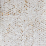 Licht getextureerd Elitis Laca Salvaje VP 916 03 behang met een organisch patroon in beige en goudtinten.