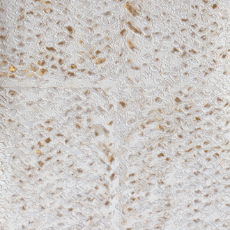 Licht getextureerd Elitis Laca Salvaje VP 916 03 behang met een organisch patroon in beige en goudtinten.