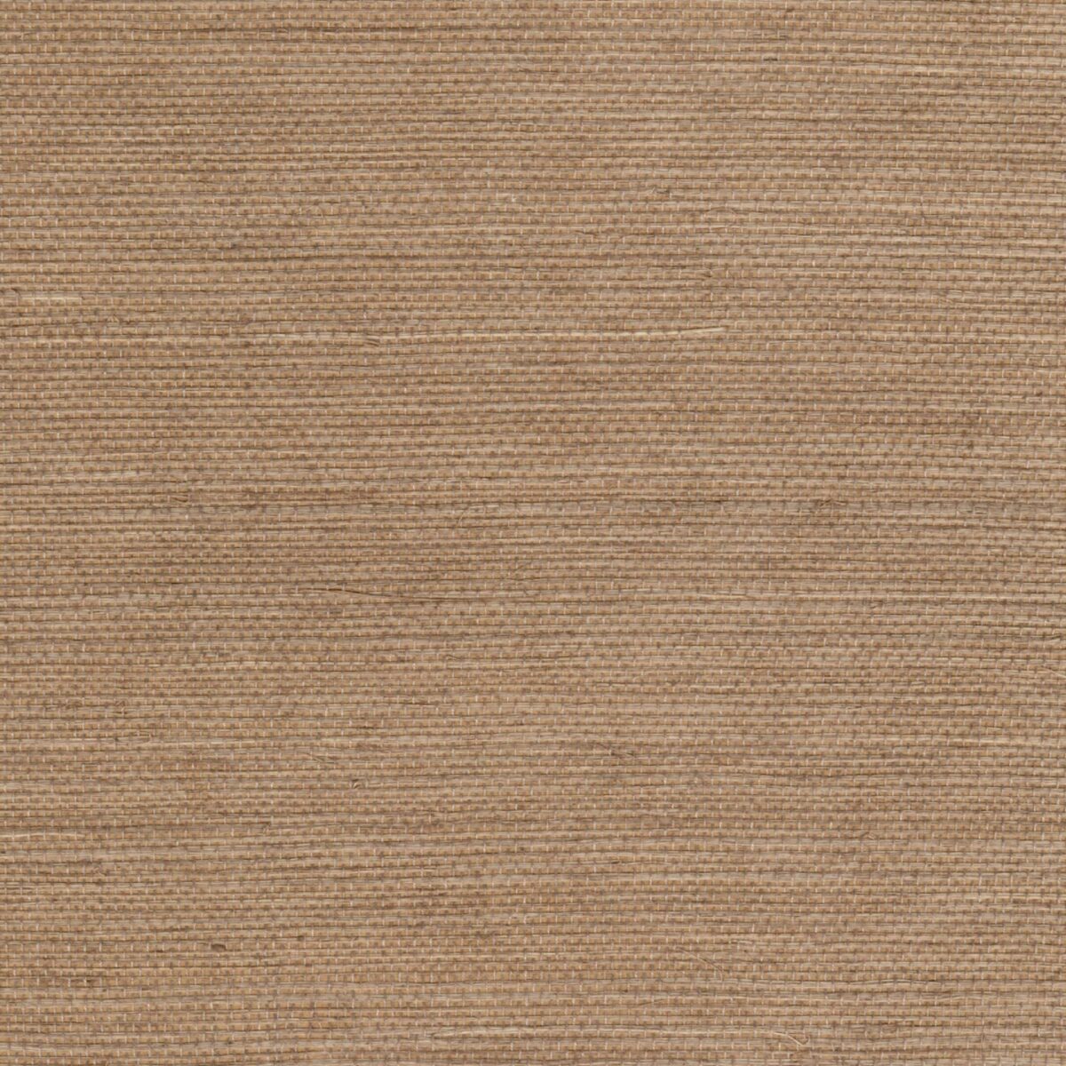 Elitis – Maestria Sisal RM 1069-04