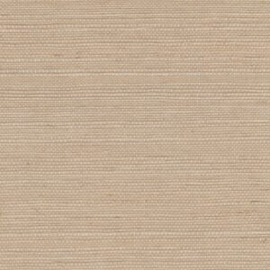Beige wandbekleding met fijne horizontale structuur uit de Elitis Tribus sisal collectie, model RM 1069 05.