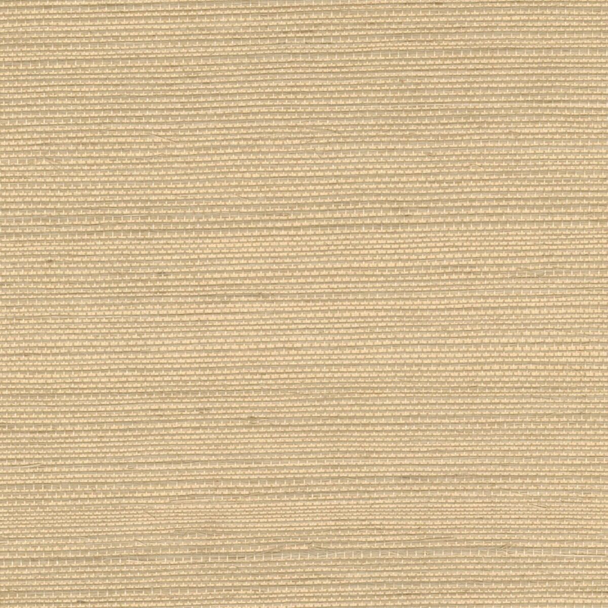 Elitis – Maestria Sisal RM 1069-11