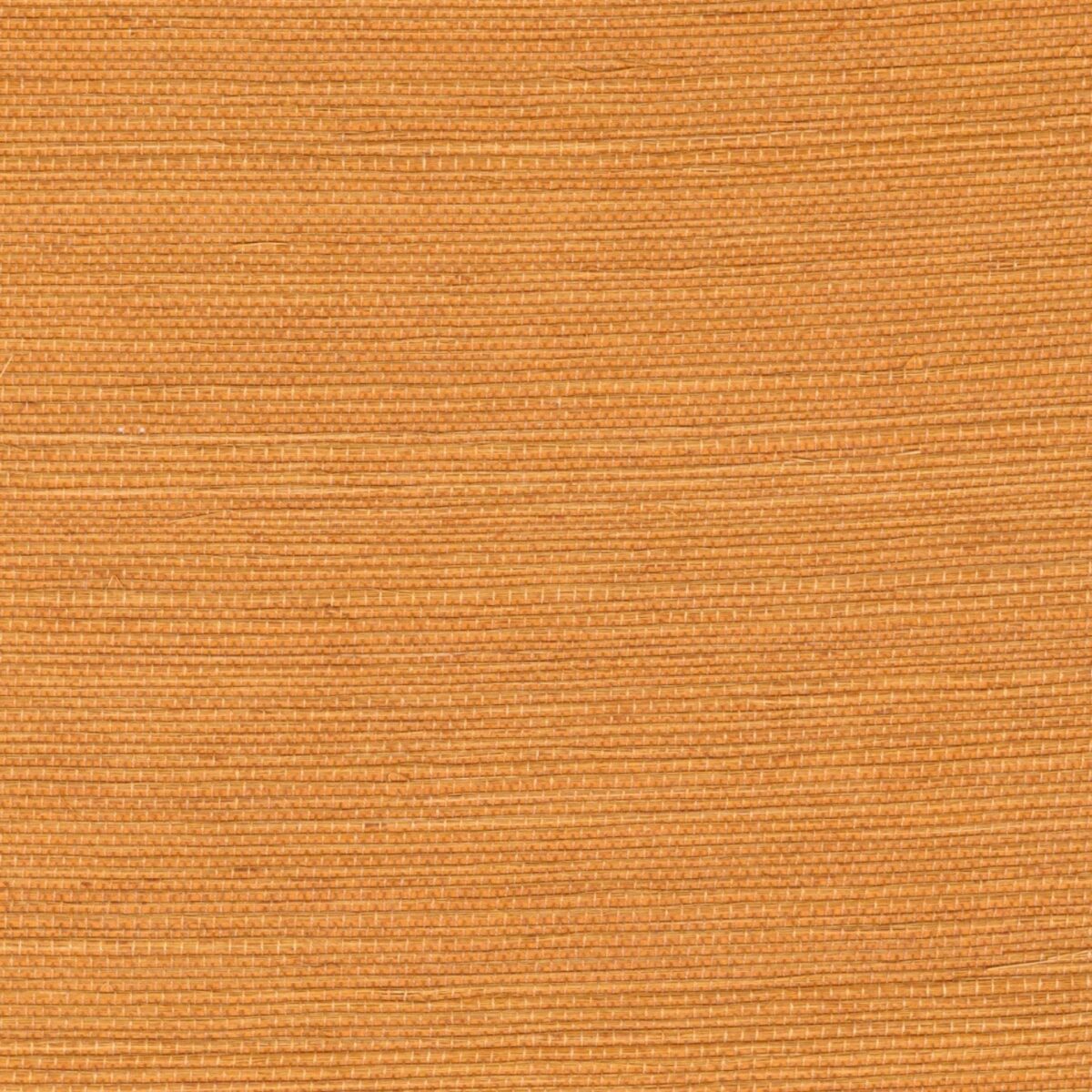 Elitis – Maestria Sisal RM 1069-22