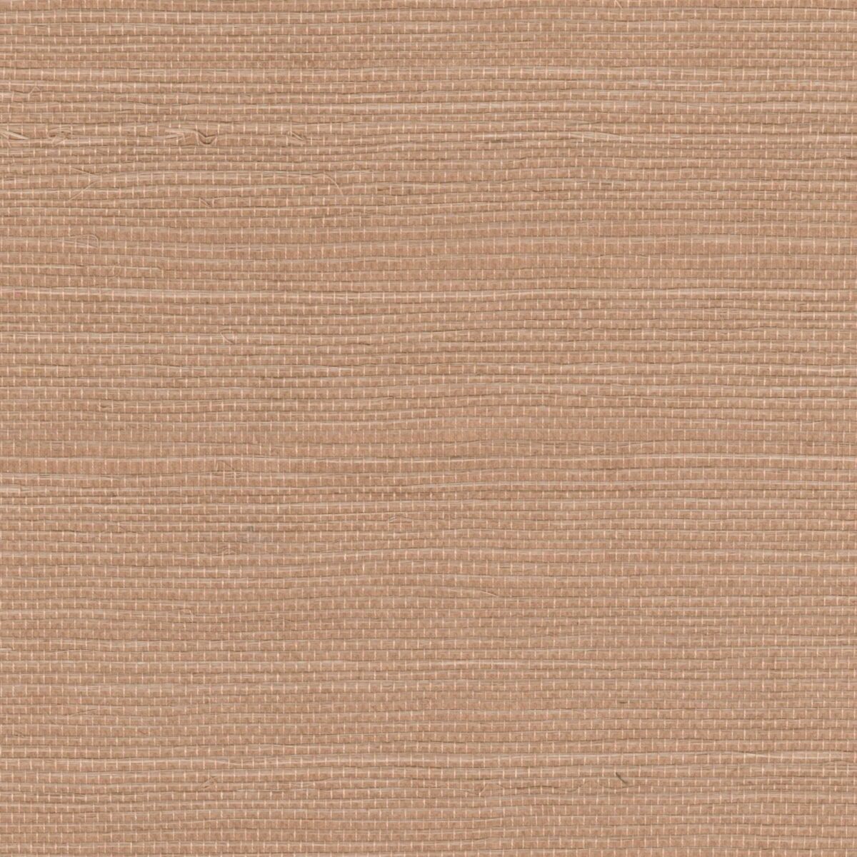 Elitis – Maestria Sisal RM 1069-51