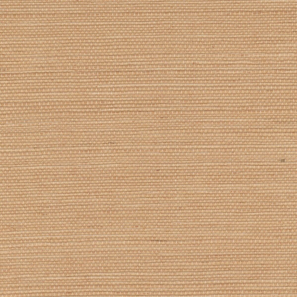 Elitis – Maestria Sisal RM 1069-52