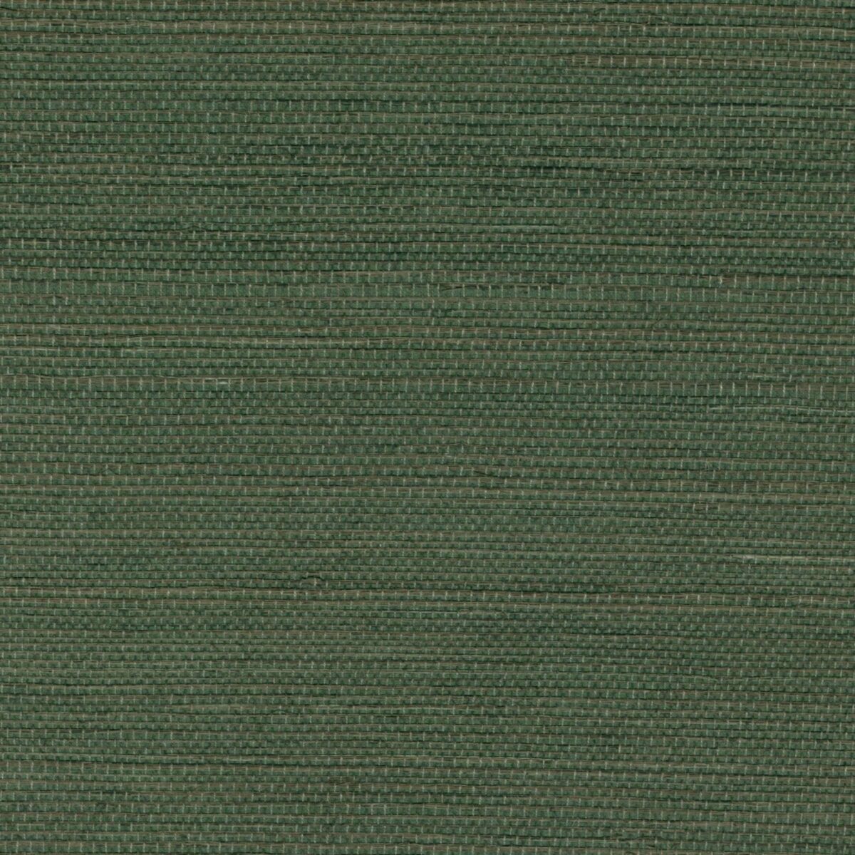 Elitis – Maestria Sisal RM 1069-62