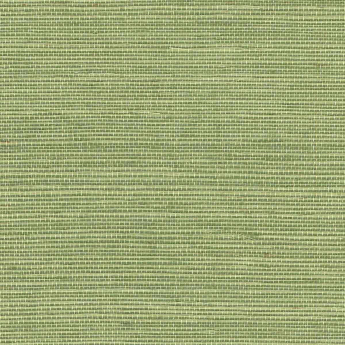 Elitis – Maestria Sisal RM 1069-63