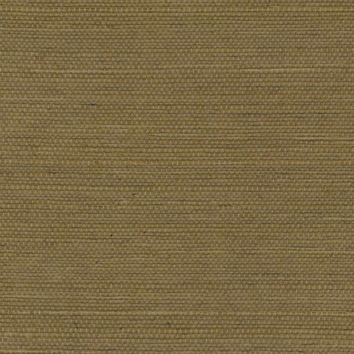 Elitis – Maestria Sisal RM 1069-66