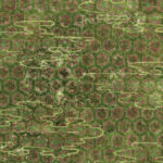 Groen Elitis-behang De Lac en Lac TP 285 02 met een patroon van zeshoekige vormen en florale motieven.