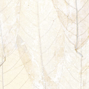 Lichtbeige Elitis-behang uit de Ecrin Blanche Neige-collectie met een transparant bladnerfpatroon.