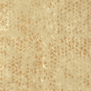 Beige Elitis-behang uit de Laca Salvaja collectie met een subtiele, glanzende textuur en gevlekt patroon.