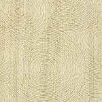 Beige Elitis-behang Bois Sculpte Volute VP 937 21 met een reliëfpatroon van concentrische cirkels die doen denken aan houtnerven.