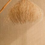 Natuurlijke wanddecoratie voor Elitis behang Gouge met fijne textuur en organisch verlichtingsobject.