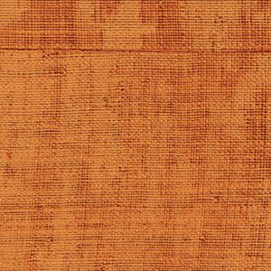 Elitis-behang-la-caravane-atelier-d-artiste-eldorado-vp-880-07