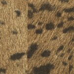 Detail van Elitis-behang Memoires Panthere VP 653 07 met een panterprint in bruin- en zwarttinten.