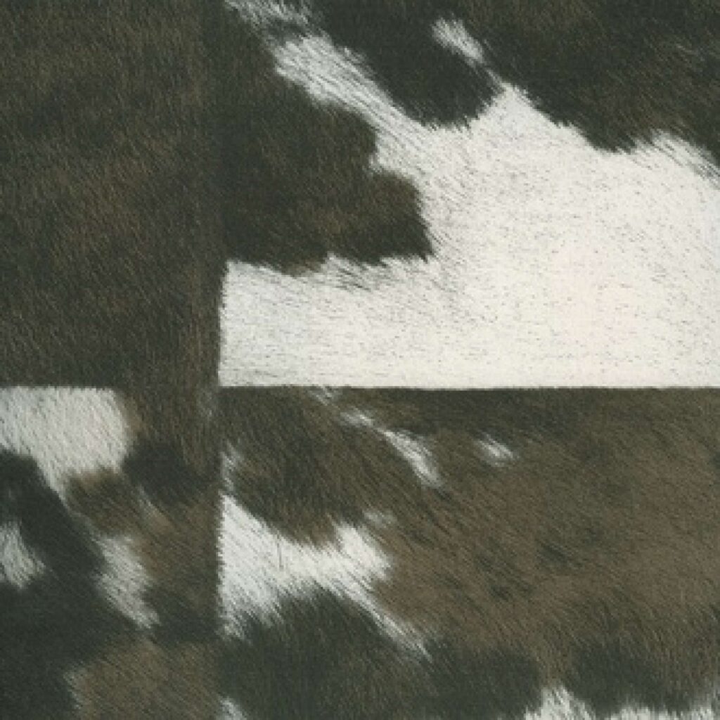 Close-up van Elitis-behang uit de Memoires Veracruz VP 629 02 collectie met een patchwork motief van donkerbruine en witte vachtstructuren.