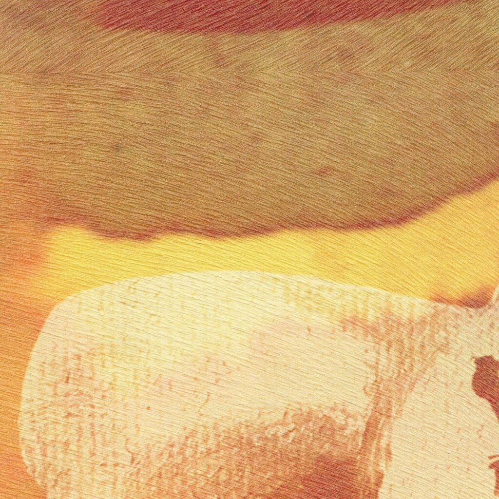 Abstracte textuur van het Elitis-behang Sauvages L’Appel de la Forêt VP 972 01 in warme aardetinten.