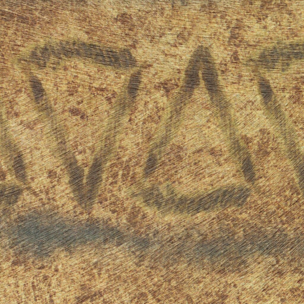 Detail van Elitis-behang Sauvages Tigre Royal met goudbruine tijgerprint en subtiele textuur.