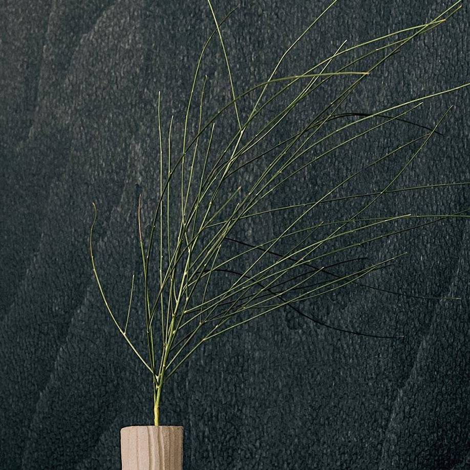 Minimalistisch takje in houten vaas tegen donker Elitis Bois Sculpte Gouge behang.
