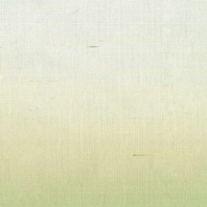 Lichtgroen Elitis Poesies de l’Instant RM 1082 09 behang met fijne textuur en subtiele kleurovergang.