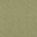 Groen linnenachtig textiel met fijne structuur uit de Elitis-stof Kaila LI 890 61 collectie.