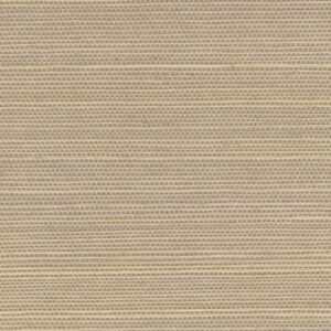 Beige geweven wandbekleding met een fijne horizontale structuur uit de Elitis Tribus Favoris RM 1070-04 collectie.