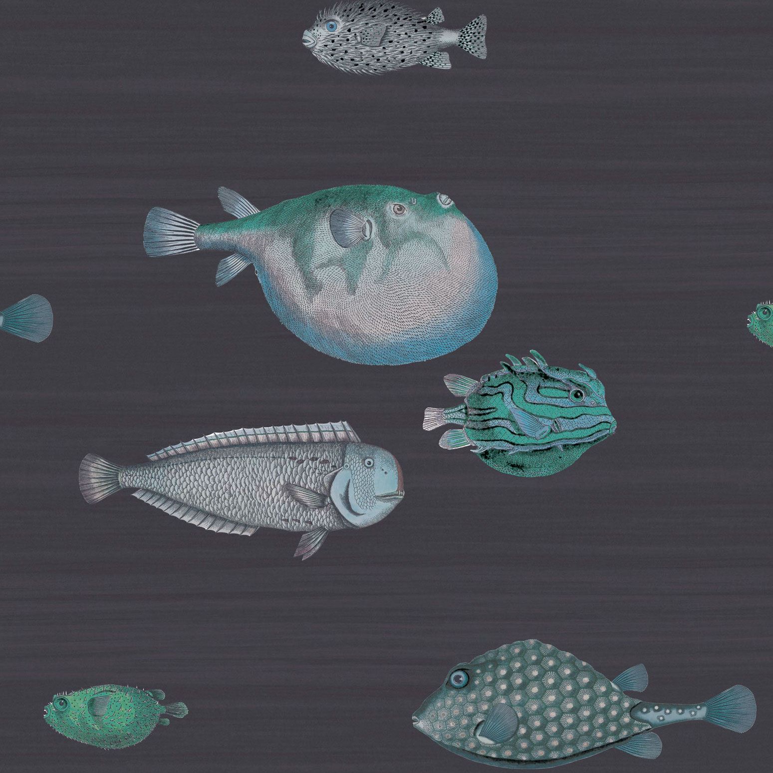 Fornasetti Acquario 114/16032