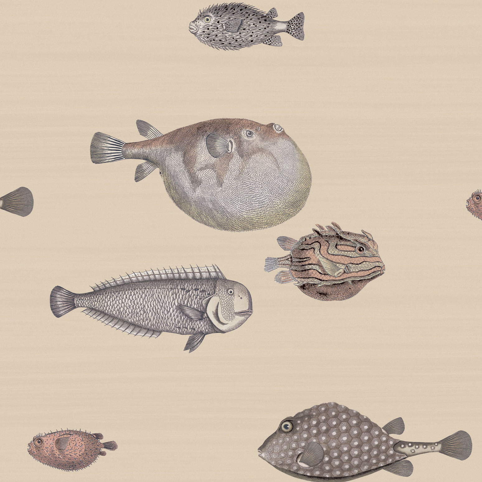 Fornasetti Acquario 114/16033