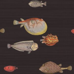 Illustratieve vissen in diverse kleuren en vormen op donker Fornasetti-behang uit de Acquario-collectie.