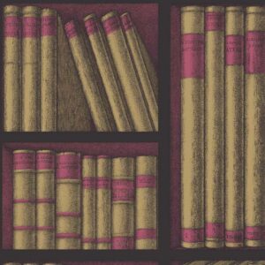 Illustratie van het Fornasetti Ex Libris behang met oud uitziende boeken op donkere planken.