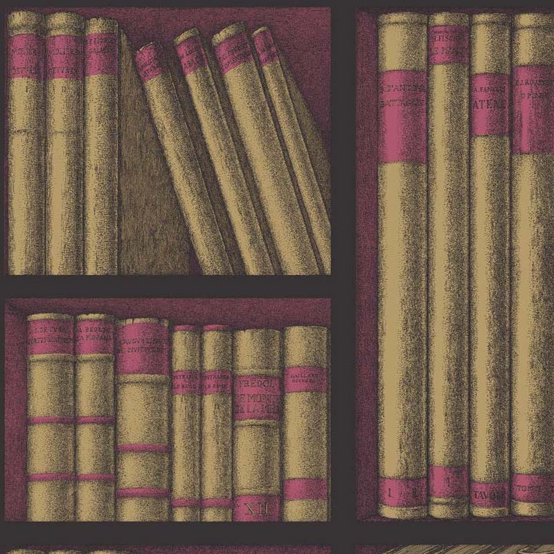 Illustratie van het Fornasetti Ex Libris behang met oud uitziende boeken op donkere planken.