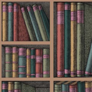 Illustratie van het Fornasetti-behang Ex Libris 114/5010 met boeken in vintage-stijl op planken.